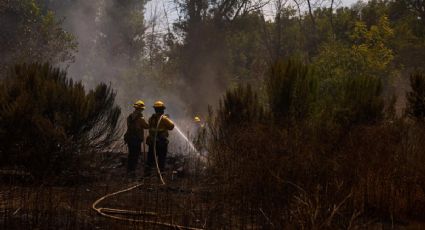 Latinos representan el 80% de los trabajadores en la recuperación de Los Ángeles tras incendios