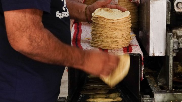 Aumento al precio de la tortilla es inminente, productores acordarán el precio