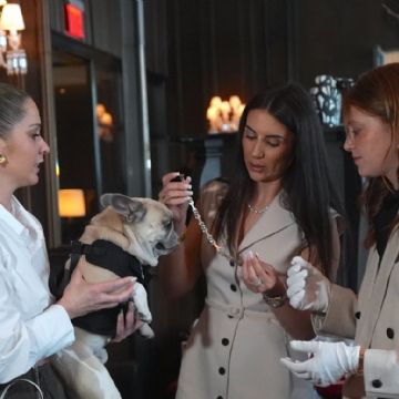 En "Los diamantes son los mejores amigos de los perros" un collar cuesta al menos 7 mil 500 dólares