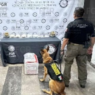 Aseguran casi seis kilos de metanfetamina en paquetería de Guadalajara ocultos en figuras