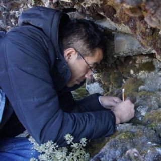 Científicos mexicanos descubren el osito de agua “estrella microscópica” en el Iztaccíhuatl