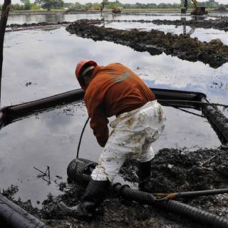 Ambientalistas consideran insuficientes las acciones ante el derrame en el Golfo de México