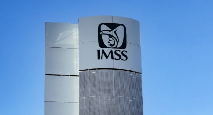 Fraude en el IMSS: utilizan el robo de identidad para cobrar incapacidades