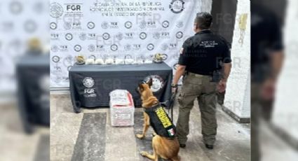 Aseguran casi seis kilos de metanfetamina en paquetería de Guadalajara ocultos en figuras decorativas