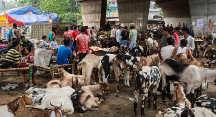 Manifestantes retienen a siete funcionarios por presuntamente borrar nombres de las listas para votar en la India