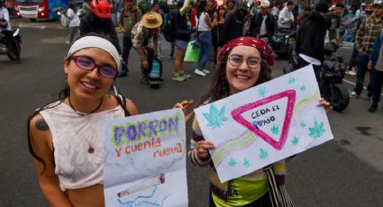 Consumir marihuana desde muy jóvenes afecta el desarrollo cognitivo, demuestra estudio con 11 mil adolescentes