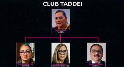 El club Taddei: red de funcionarios y su proveedor se reencuentran en el INE