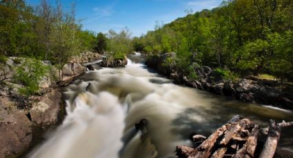 Río Potomac: acusan negligencia en el manejo de fugas de aguas residuales en Washington