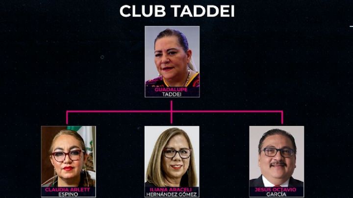 El club Taddei: red de funcionarios y su proveedor se reencuentran en el INE
