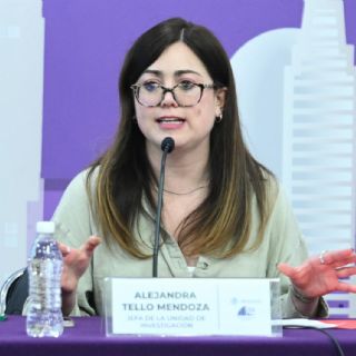 Otra grieta en la 4T: el PT veta a Valle y Tello para consejeros del INE y pide que sean dos mujeres