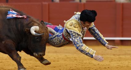 “He tenido un dolor inmenso y muchísimo miedo”: Morante de la Puebla reacciona tras sufrir grave cornada en el recto