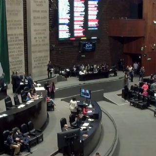 Diputados regresan al Senado la minuta que endurece delitos contra el medio ambiente