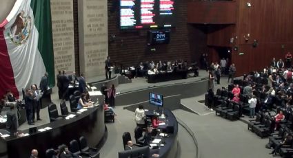 Diputados corrigen la plana al Senado y regresan minuta que endurece delitos contra el medio ambiente