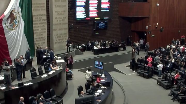 Diputados corrigen la plana al Senado y regresan minuta que endurece delitos contra el medio ambiente