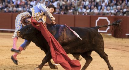 El torero Roca Rey sufre dramática cornada cuando entró a matar y fue zarandeado varios segundos: tiene herida profunda en el muslo