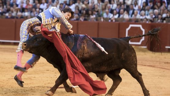 El torero Roca Rey sufre dramática cornada cuando entró a matar y fue zarandeado varios segundos: tiene herida profunda en el muslo