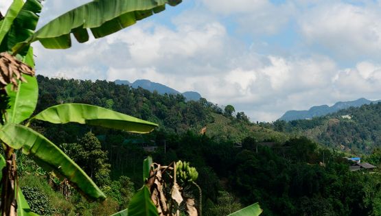 Pueblos indígenas de Honduras alertan colapso de la Biosfera del Río Plátano y exigen autonomía