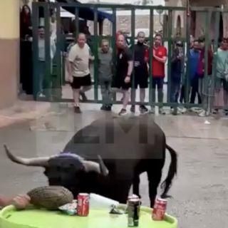 Muere ganadero corneado por un toro en fiesta popular