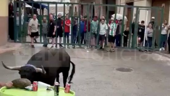 Un toro mata a ganadero de 33 años en los festejos de una fiesta popular: también cobró la vida de otro astado
