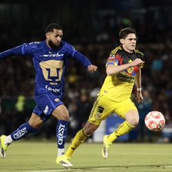 Definen fechas y horarios de la Liguilla: El Pumas-América será los dos próximos domingos; el Chivas-Tigres, en sábado