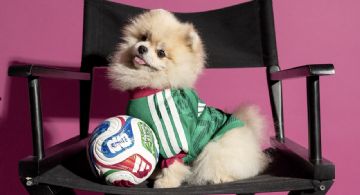 Adidas lanza camisetas mundialistas para perros: destacan la de México, Argentina, Colombia y Japón