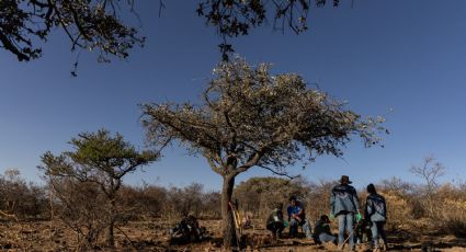 Organizaciones respaldan informe de la ONU sobre desapariciones y critican respuesta del gobierno de Sheinbaum