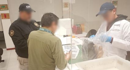 “Banalizar terapias intravenosas es fatal”: Alejandro Macías advierte por su uso tras la muerte de cuatro personas en Sonora