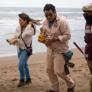 Derrame en el Golfo: crean Observatorio Permanente a más de un mes de la fuga de hidrocarburo