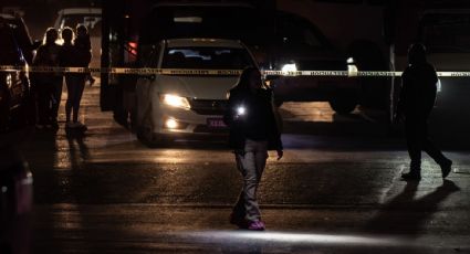 Procesan a dos sujetos por el feminicidio de Diana Belén, defensora de animales en Edomex