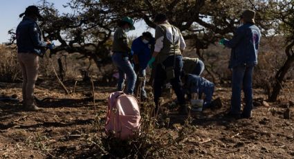 "No debe centrarse en la descalificación política": Barra Mexicana pide al gobierno tomar acciones ante informe de la ONU sobre desapariciones