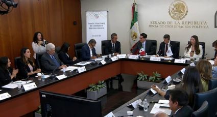 Ratifican el nombramiento de Roberto Velasco al frente de Relaciones Exteriores en comisión del Senado