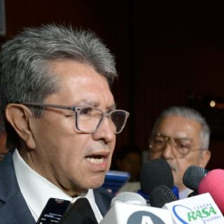 Comparecencia de funcionarios por el derrame del Golfo se decidirá por mayoría legislativa: Monreal