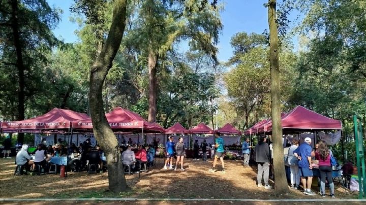 Viveros de Coyoacán, bajo amenaza por mercado de la tierra en suelo protegido