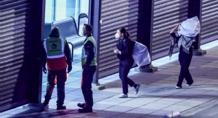 Suman 10 casos de hantavirus ligados al brote del crucero MV Hondius