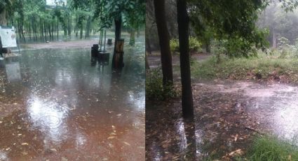 Cierran durante 24 horas el Parque Viveros de Coyoacán por afectaciones tras intensas lluvias en CDMX