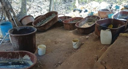 Desmantelan tres laboratorios clandestinos en Sinaloa: golpe económico al narcotráfico es mayor a los 900 mdp