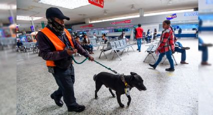 Procesan a sujeto por transportar más de 33 kilos de droga en la TAPO, en CDMX