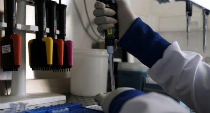 Da positivo a hantavirus uno de los 14 españoles evacuados del crucero MV Hondius