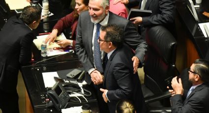 Senado avala con inusual fast track la reforma para que el INE verifique candidatos