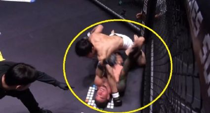 Peleador brasileño de Artes Marciales Mixtas es noqueado y rematado en la lona tras burlarse de su rival