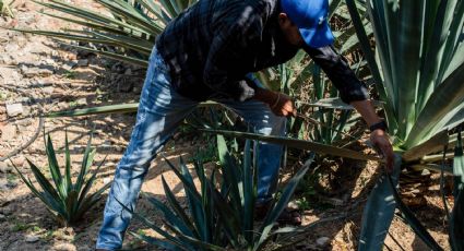 Productividad en México está a un nivel inferior que hace 25 años, advierte exvicepresidente del BID