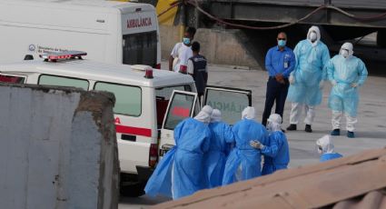 En abril, tras la primera muerte, decenas de pasajeros se bajaron del crucero MV Hondius afectado por hantavirus