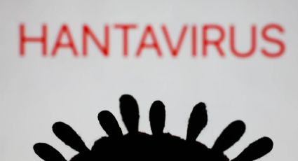 Fallece un hombre por hantavirus en Colorado; no estaba relacionado al crucero MV Hondius