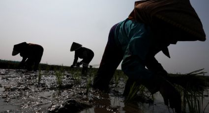 El Niño ya empezó; se prevé que sea uno de los más grandes desde 1950