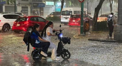Activan alerta roja por lluvias torrenciales en Tlalpan y Coyoacán; se reportan inundaciones y caída de árboles