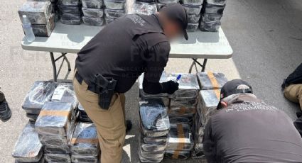 Procesan al chofer que transportaba casi una tonelada de metanfetamina oculta en cargamento de jícamas