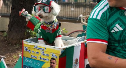 La mascota no oficial del Mundial: "Osito" el perro rescatado que roba corazones en CDMX