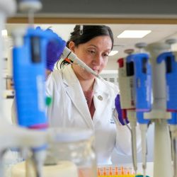 Ya hay herramientas prometedoras para combatir al hantavirus pese a limitaciones de financiamiento