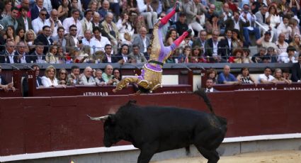 El torero Víctor Hernández es arrastrado dramáticamente por el toro durante varios metros en corrida celebrada en Las Ventas