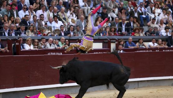 El torero Víctor Hernández es arrastrado dramáticamente por el toro durante varios metros en corrida celebrada en Las Ventas